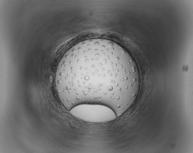X0000115661302200911120934