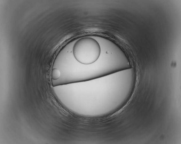 X0000115661305200911120934