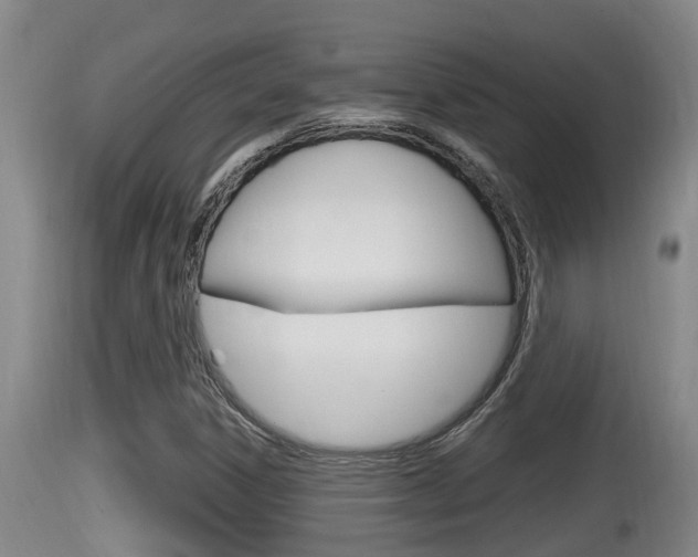 X0000115661306200911120934