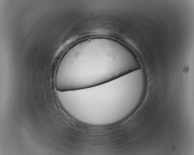 X0000115661307200911120934