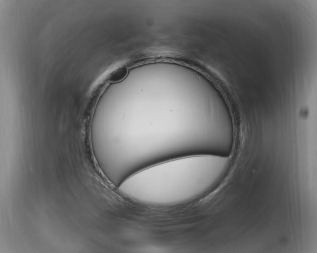 X0000115661309200911120934