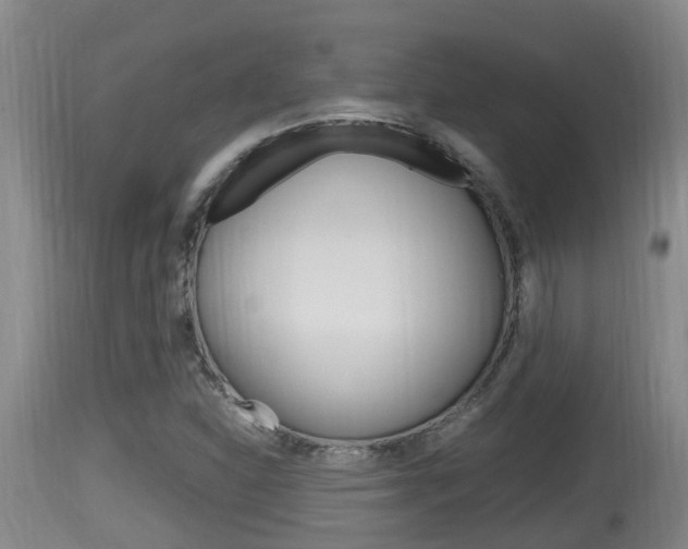 X0000115661310200911120934