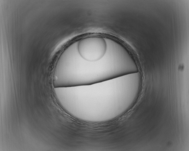 X0000115661311200911120934