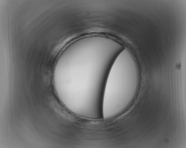 X0000115661313200911120934