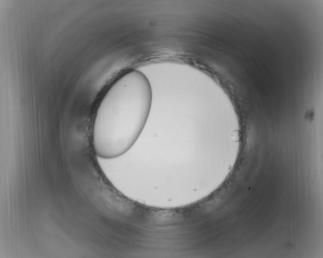 X0000115661314200911120934