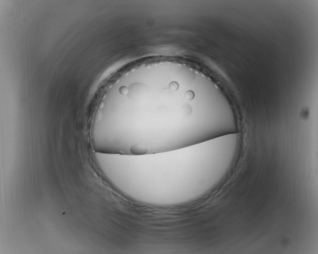 X0000115661315200911120934