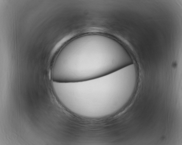 X0000115661317200911120934