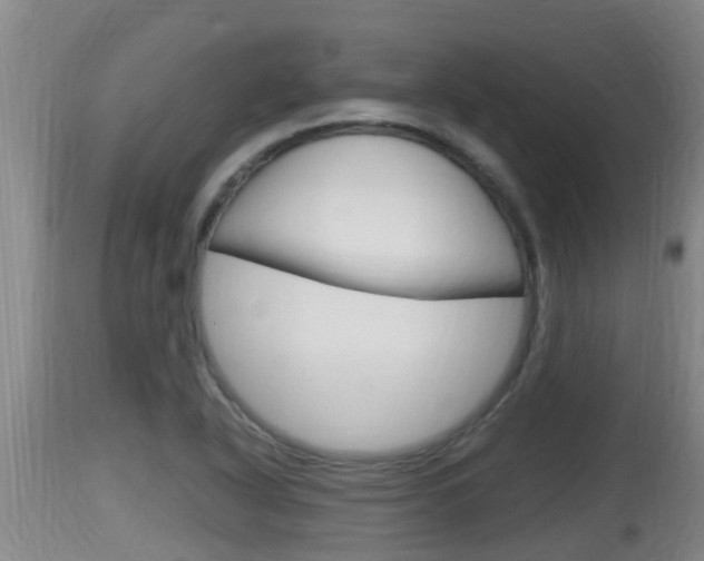 X0000115661318200911120934