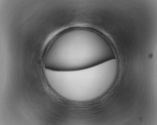 X0000115661319200911120934