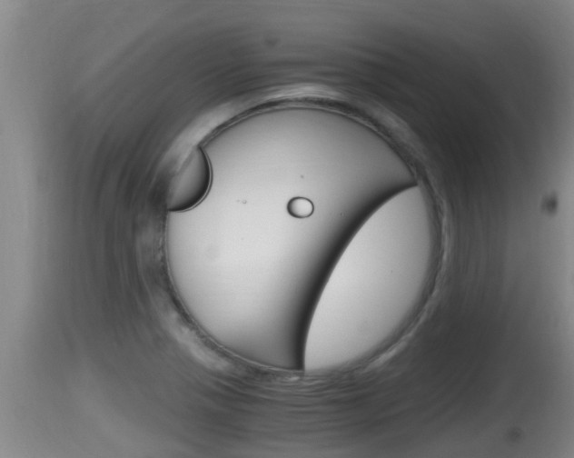 X0000115661321200911120934