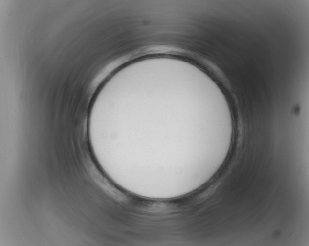 X0000115661322200911120934