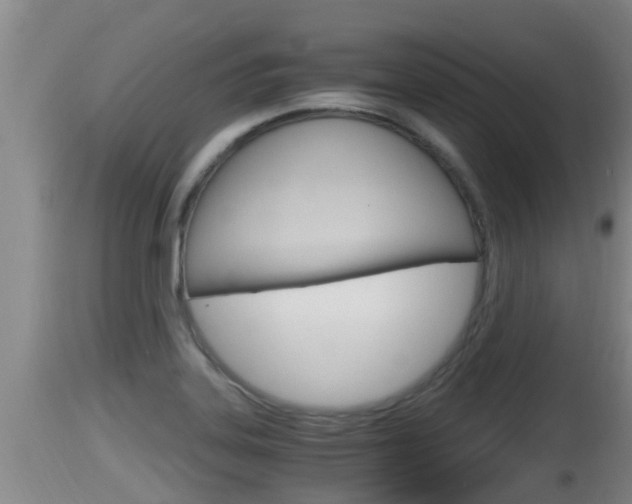 X0000115661323200911120934