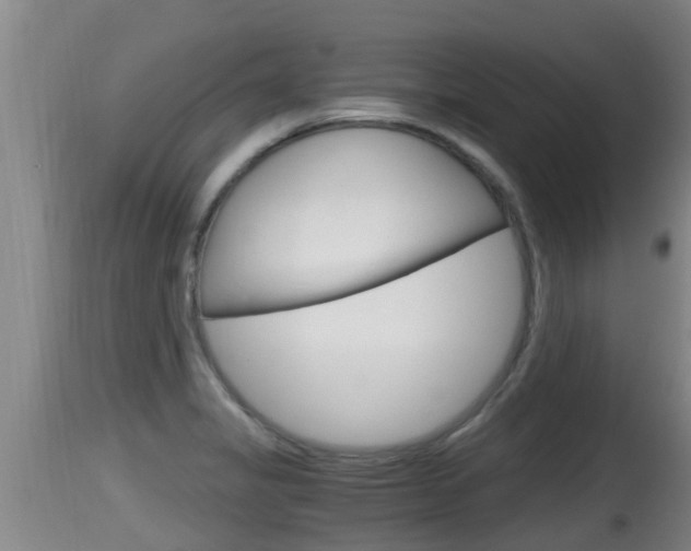 X0000115661325200911120934