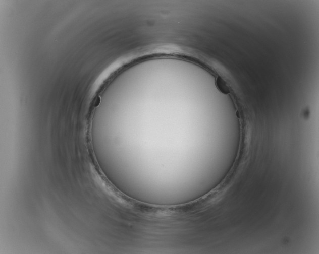 X0000115661326200911120934