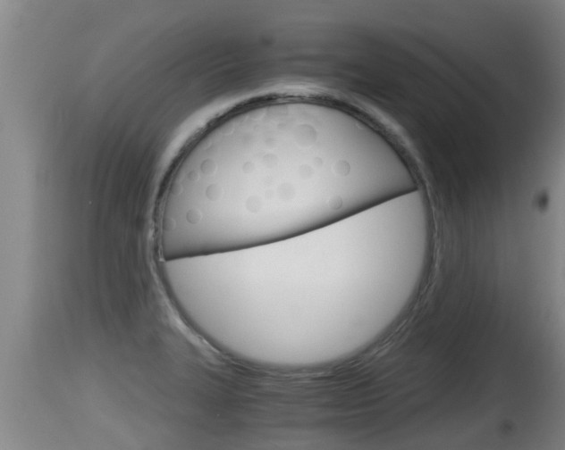 X0000115661327200911120934
