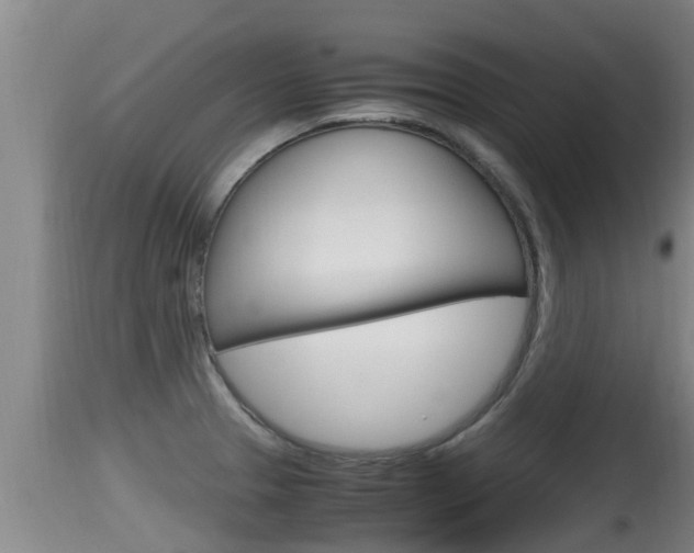 X0000115661329200911120934
