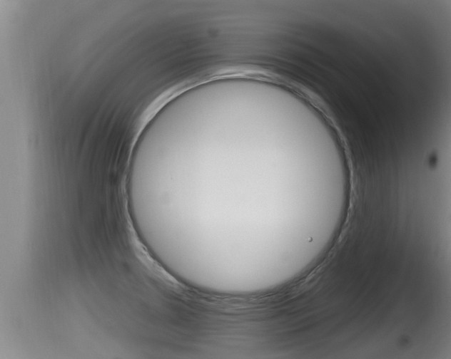 X0000115661330200911120934
