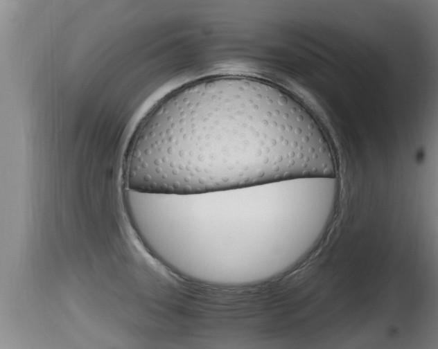 X0000115661331200911120934