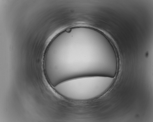 X0000115661333200911120934