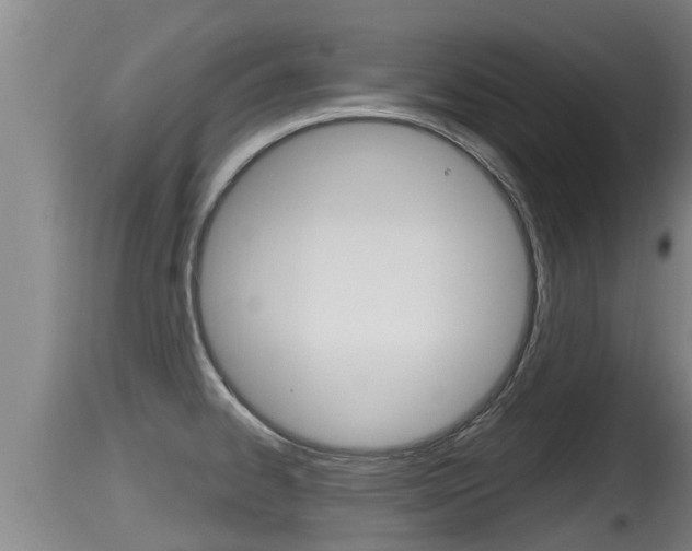 X0000115661334200911120934
