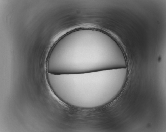 X0000115661335200911120934