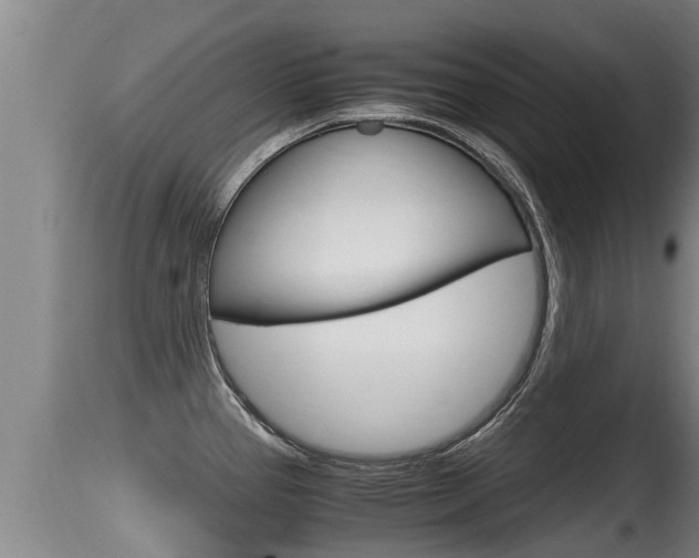 X0000115661337200911120934