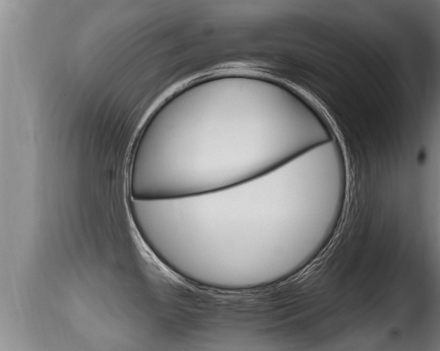 X0000115661341200911120934