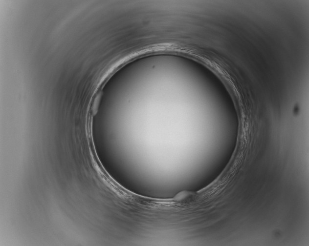 X0000115661342200911120934
