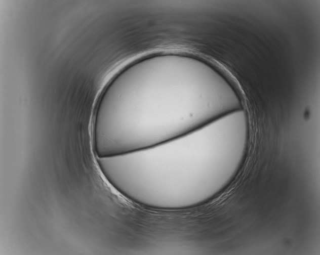 X0000115661343200911120934