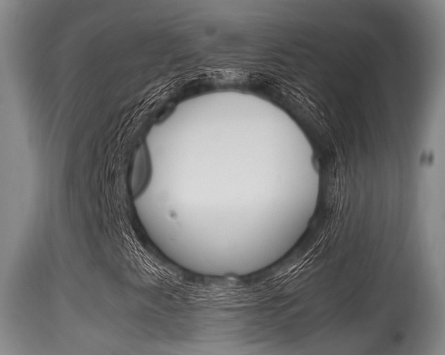 X0000115661345200911120934