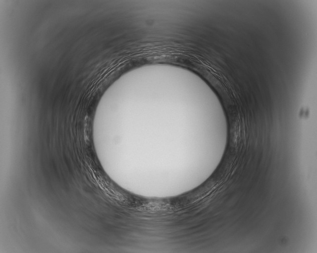 X0000115661346200911120934