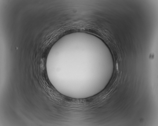 X0000115661347200911120934