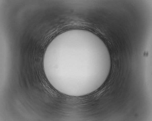 X0000115661348200911120934