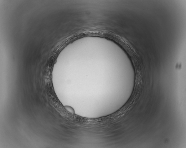 X0000115661350200911120934