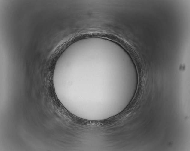 X0000115661351200911120934