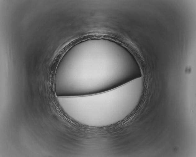 X0000115661352200911120934