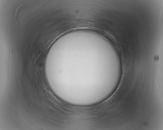 X0000115661353200911120934