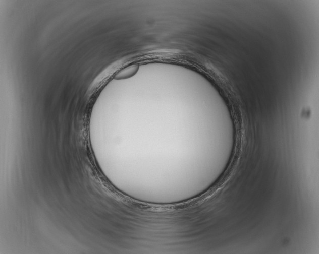 X0000115661354200911120934