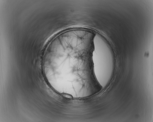 X0000115661356200911120934