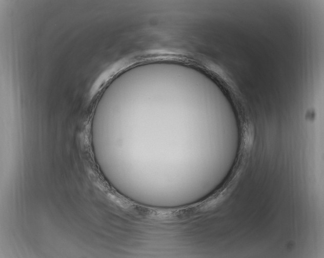 X0000115661357200911120934