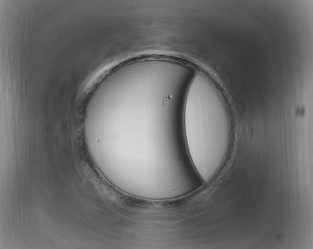 X0000115661359200911120934