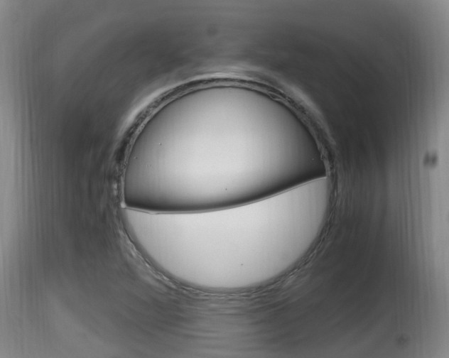 X0000115661360200911120934