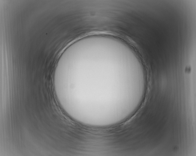 X0000115661361200911120934