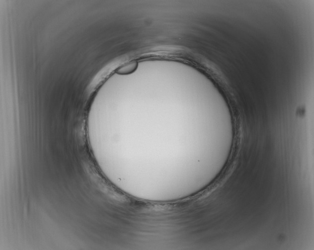 X0000115661362200911120934