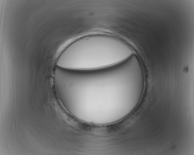 X0000115661363200911120933