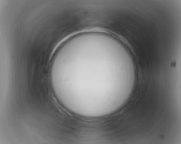 X0000115661364200911120933