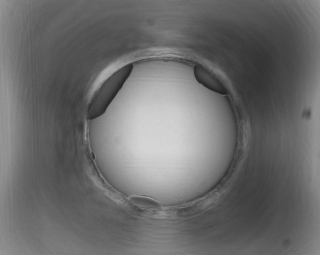 X0000115661365200911120933