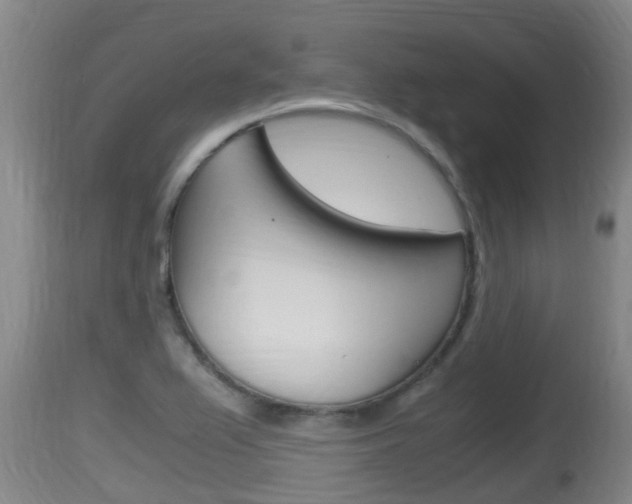 X0000115661367200911120933