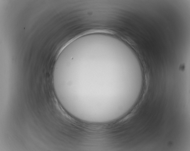 X0000115661369200911120933