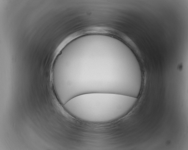 X0000115661370200911120933